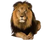 Assar